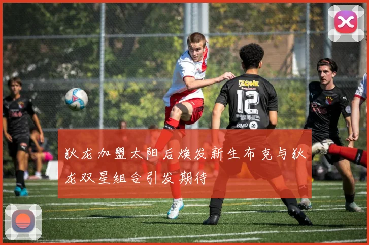 狄龙加盟太阳后焕发新生布克与狄龙双星组合引发期待