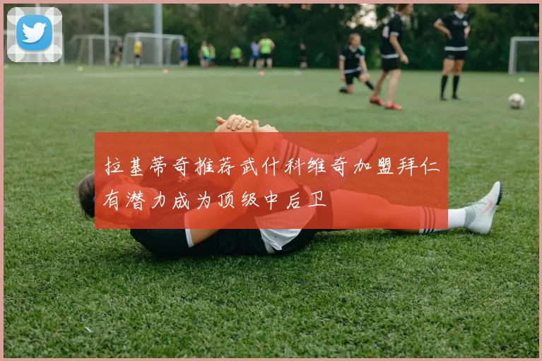 拉基蒂奇推荐武什科维奇加盟拜仁有潜力成为顶级中后卫