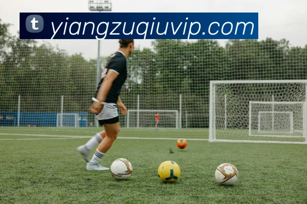 意昂体育APP 封面图